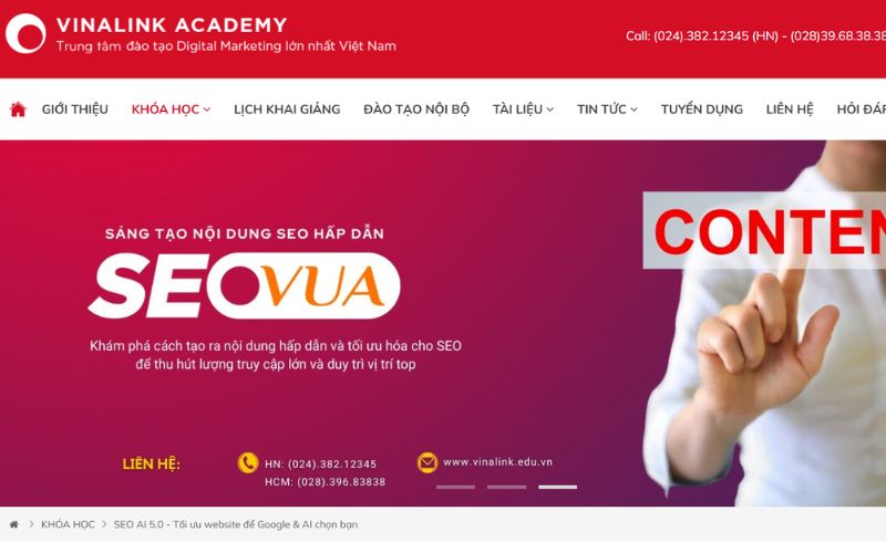 Dịch vụ SEO Hà Nội tại Vinalink