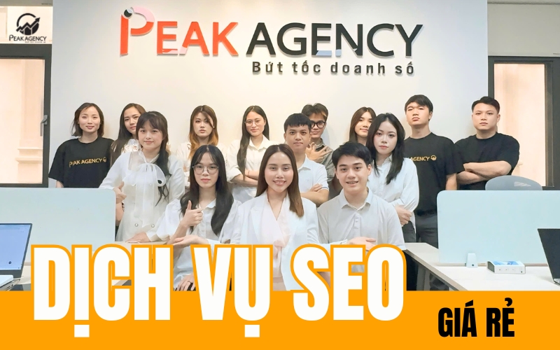Dịch vụ SEO giá rẻ tại Peak Agency