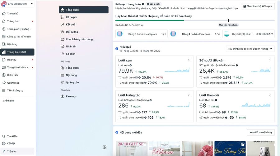 Dịch vụ marketing Facebook cho Ember Brown Dịch vụ marketing Facebook cho Ember Brown