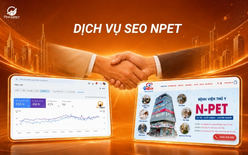 Dự án dịch vụ SEO giá rẻ cho Npet Dự án dịch vụ SEO giá rẻ cho Npet