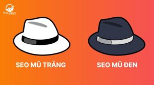 seo mũ trắng và seo mũ đen