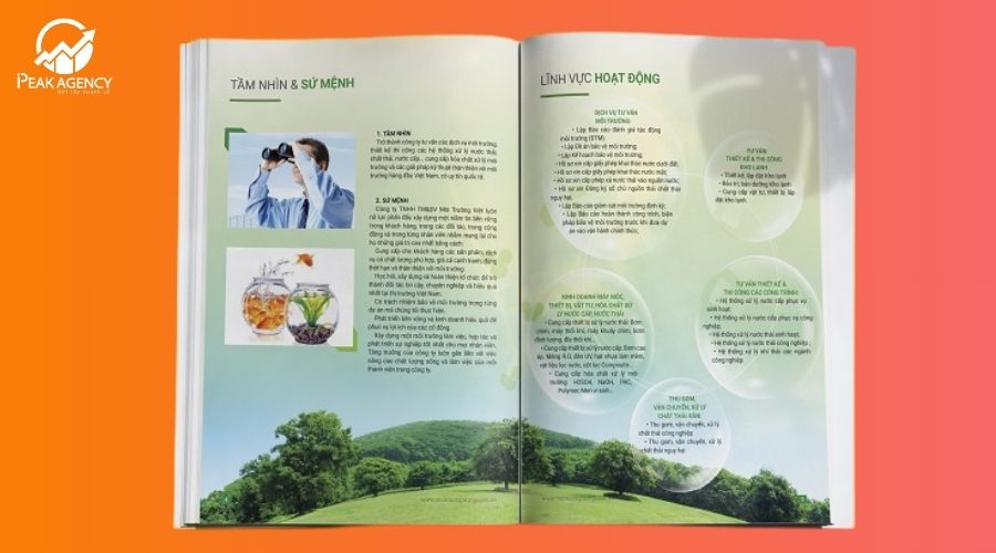 thiết kế profile công ty các trang tiếp theo