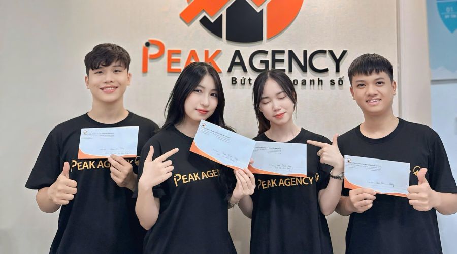 dịch vụ chăm sóc website tại Peak Agency