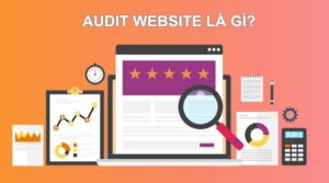 Audit website là gì