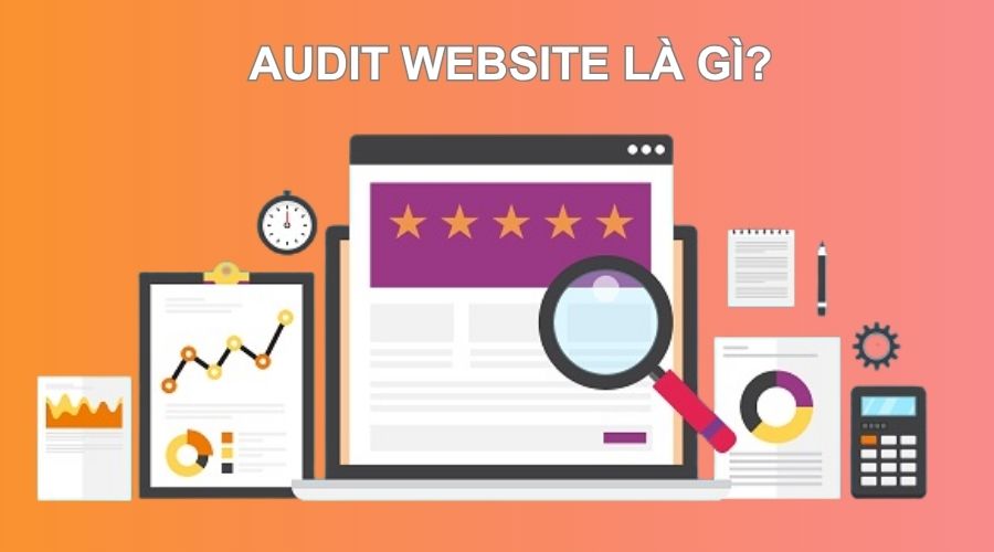 Audit website là gì