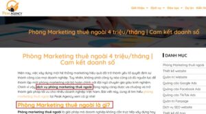 Mẫu bài viết chuẩn SEO chuyên nghiệp