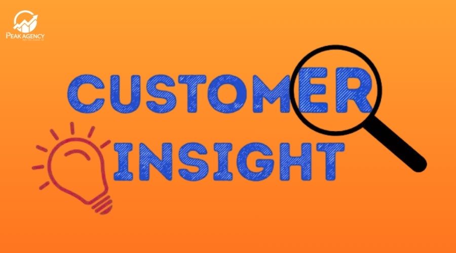 Insight khách hàng