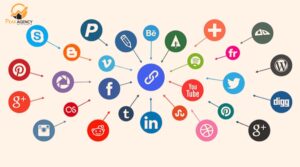 Dịch vụ entity backlink social chuyên nghiệp