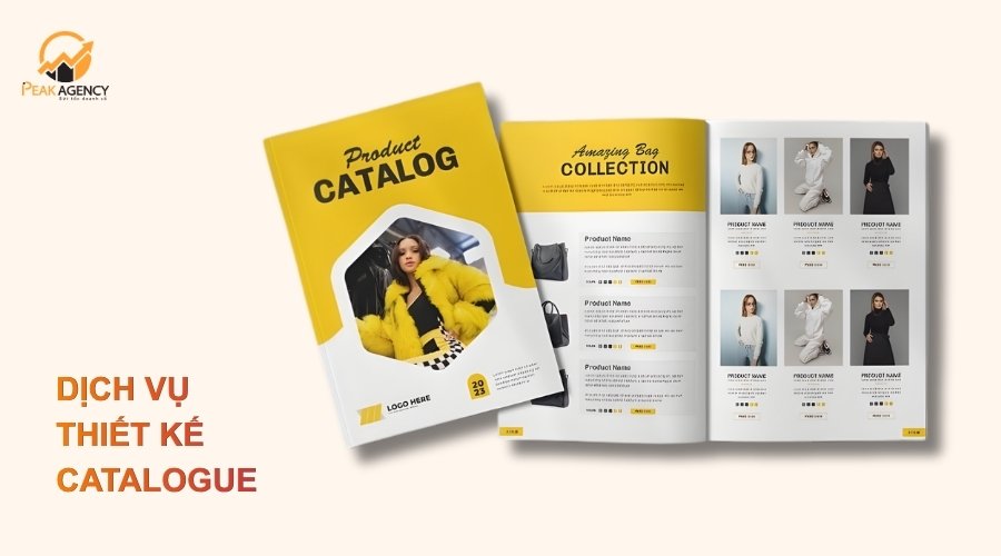 Dịch vụ thiết kế catalogue chuyên nghiệp