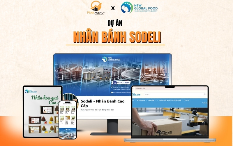 Dự án dịch vụ phòng marketing thuê ngoài cho Sodeli