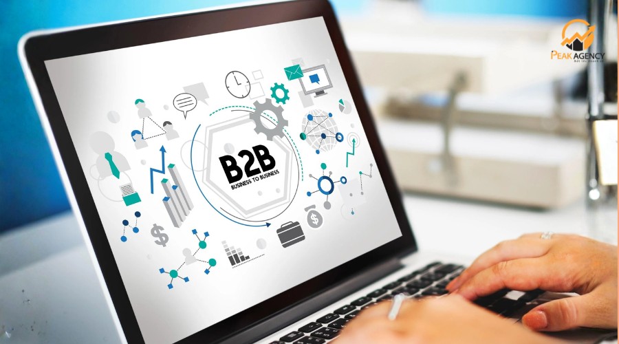 Dịch vụ marketing online cho B2B tại Peak Agency
