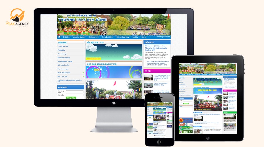 Dịch vụ thiết kế website trường học tại Peak Agency