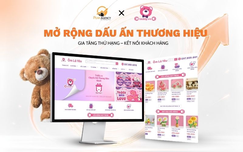 Dịch vụ SEO Hà Nội cho Teddy Dịch vụ SEO Hà Nội cho Teddy