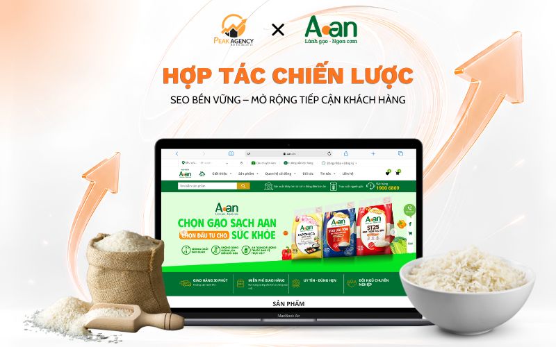 Dịch vụ SEO Hà Nội cho thương hiệu Gạo A An Dịch vụ SEO Hà Nội cho thương hiệu Gạo A An