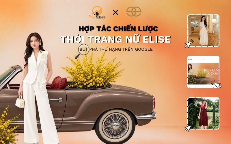 Dịch vụ SEO tổng thể cho ELISE Dịch vụ SEO tổng thể cho ELISE