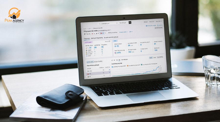 Dịch vụ SEO traffic tại Peak Agency