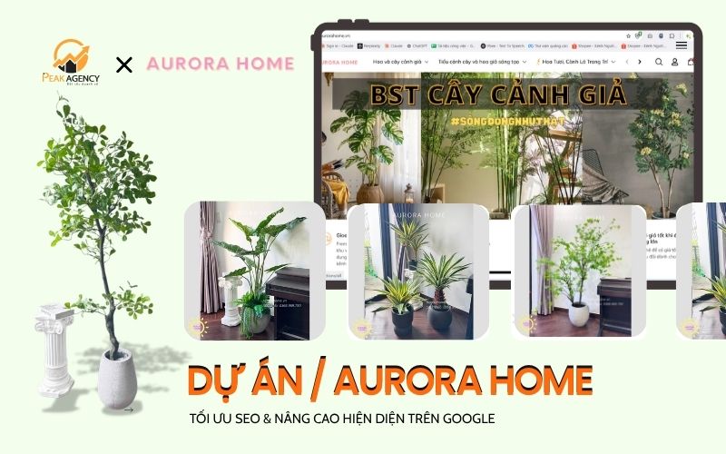 Dịch vụ SEO website cho Aurora Home