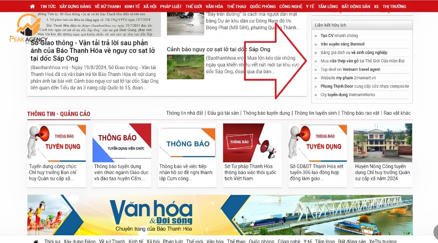 Dịch vụ backlink báo tại Peak Agency Dịch vụ backlink báo tại Peak Agency