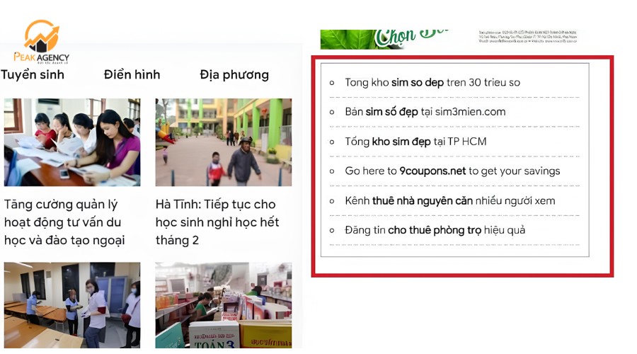 Dịch vụ textlink báo tại Peak Agency Dịch vụ textlink báo tại Peak Agency