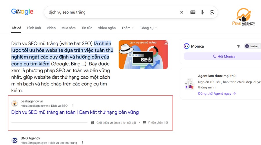 Lợi ích khi sử dụng dịch vụ SEO Top Google