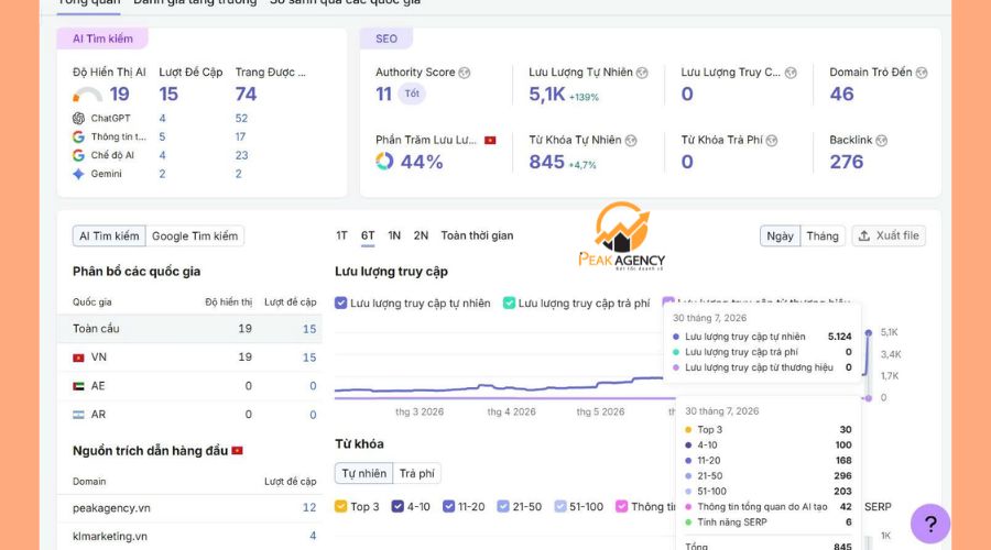 Dịch vụ tư vấn SEO tại Peak Agency