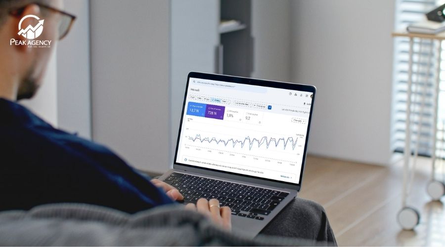 Dịch vụ SEO Ninh Bình tại Peak Agency