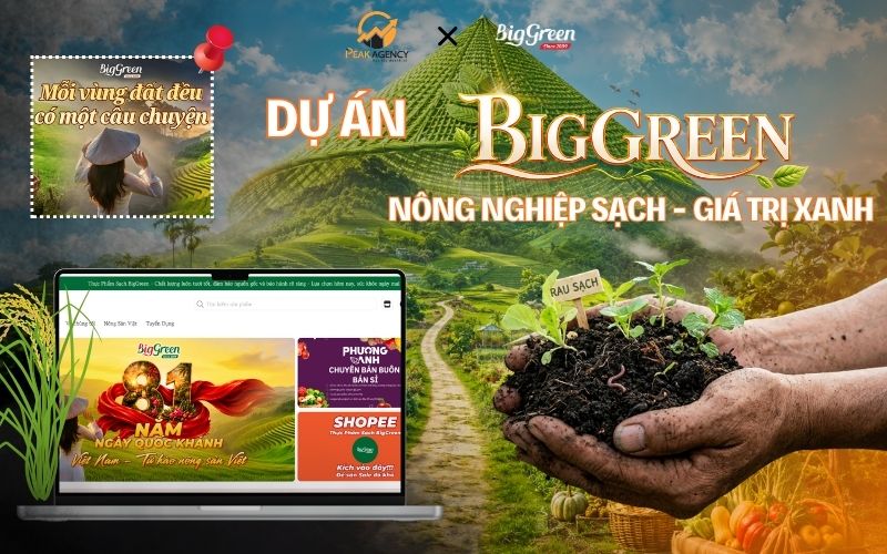 Dịch vụ SEO từ khóa cho BigGreen Dịch vụ SEO từ khóa cho BigGreen