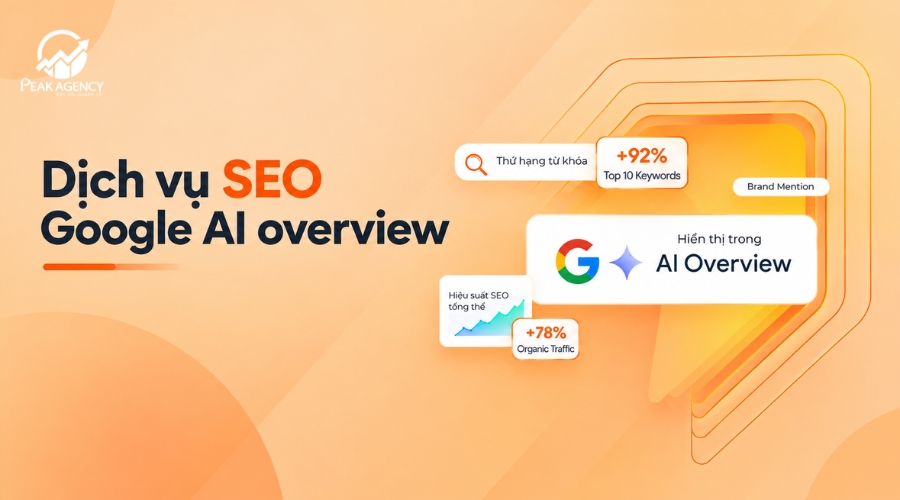Dịch vụ SEO Google AI Overview