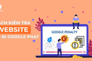 Cách kiểm tra website có bị Google phạt và cách xử lý