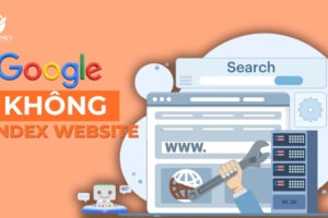 Nguyên nhân Google không index website và khắc phục
